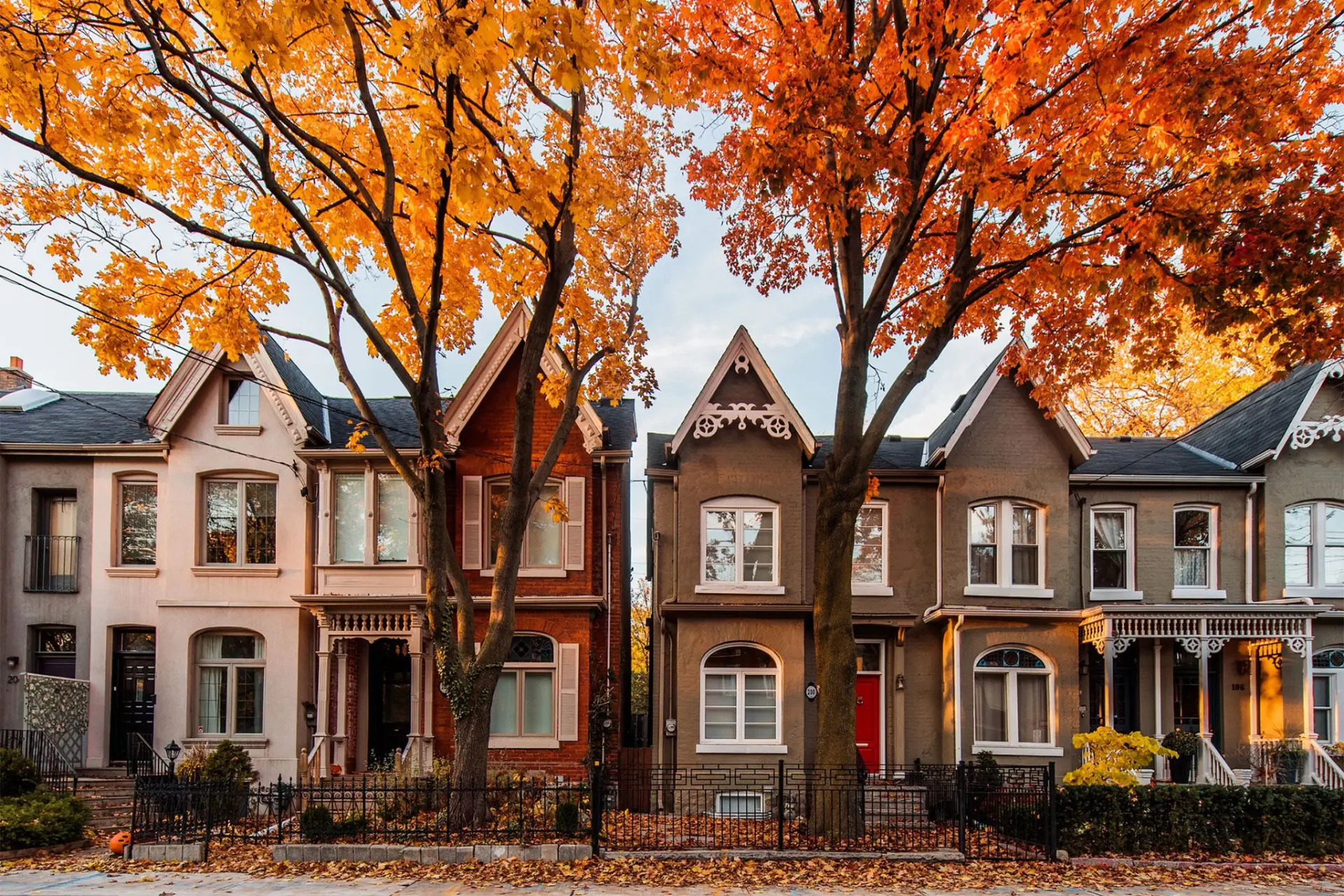 Row of Toronto homes with colourful autumn trees lining the street